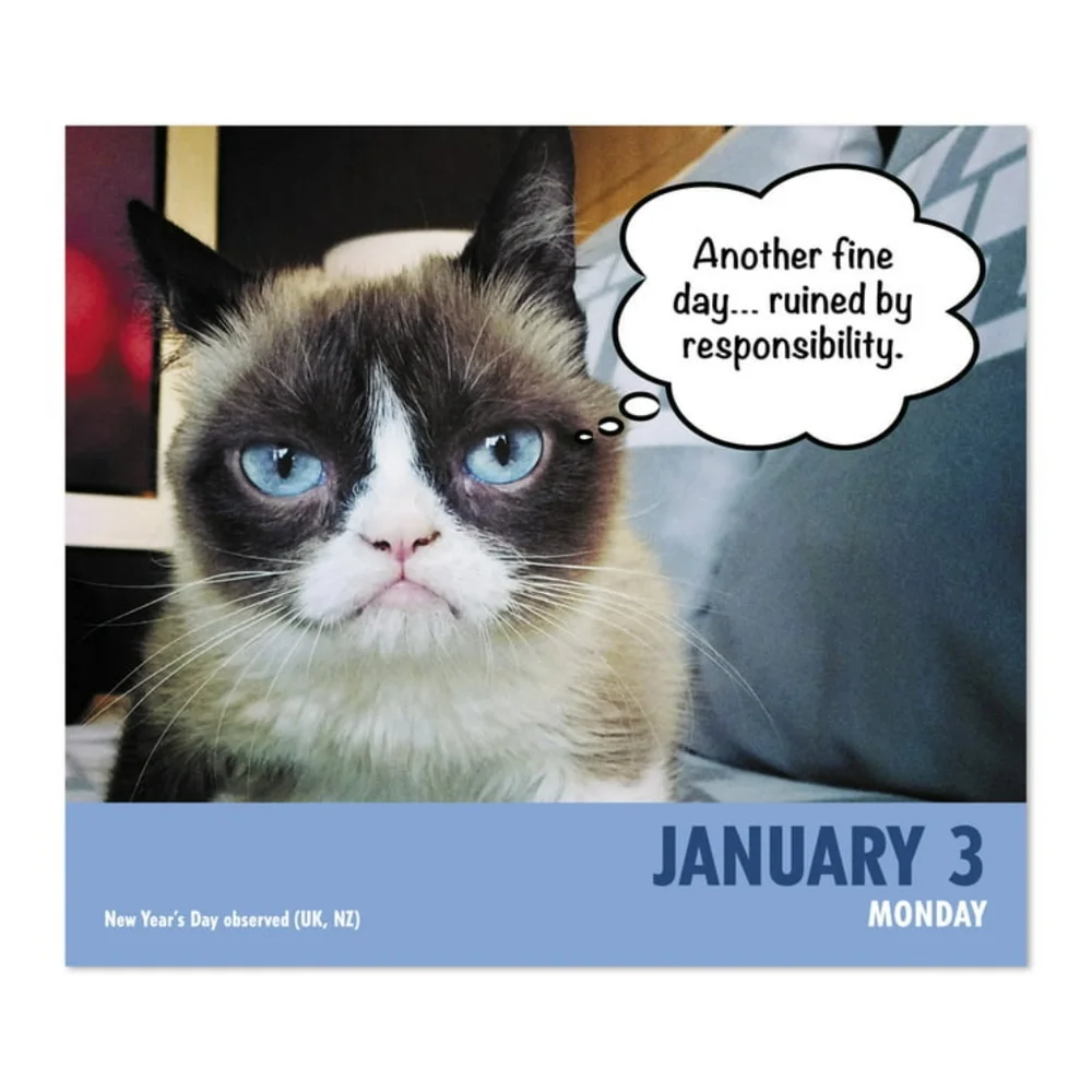 Grumpy cat 2022 calendar